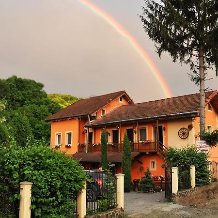 Pensiunea Ana Cristina Sighisoara Luaran gambar