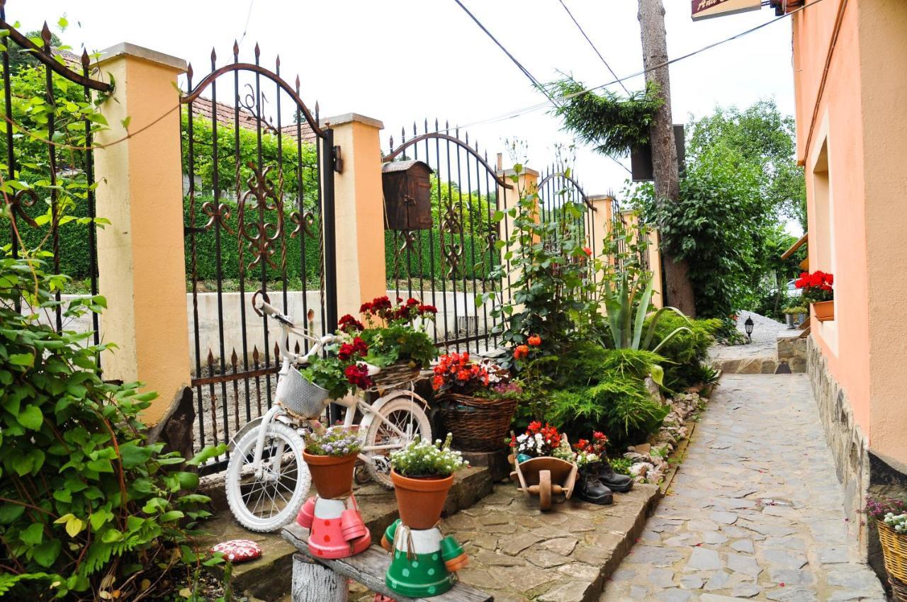 Pensiunea Ana Cristina Sighisoara Luaran gambar