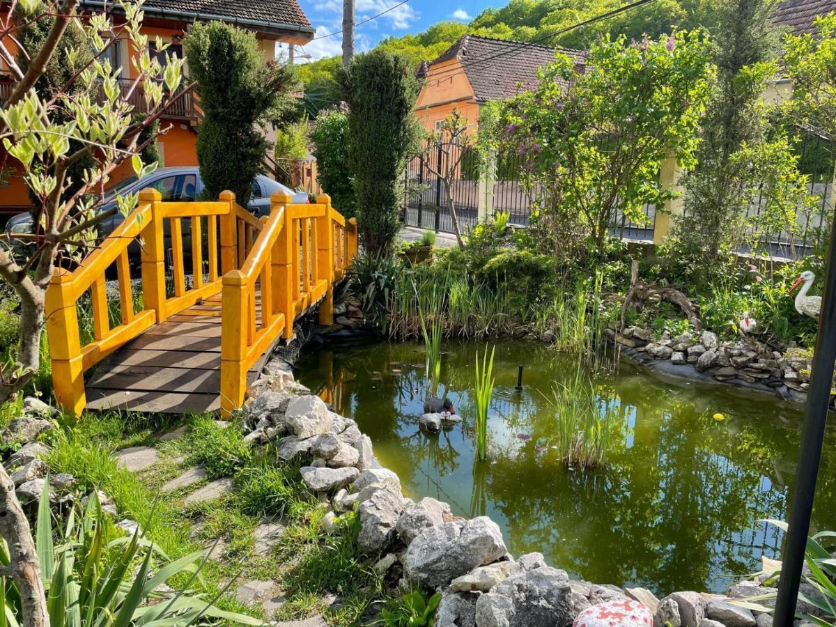 Pensiunea Ana Cristina Sighisoara Luaran gambar