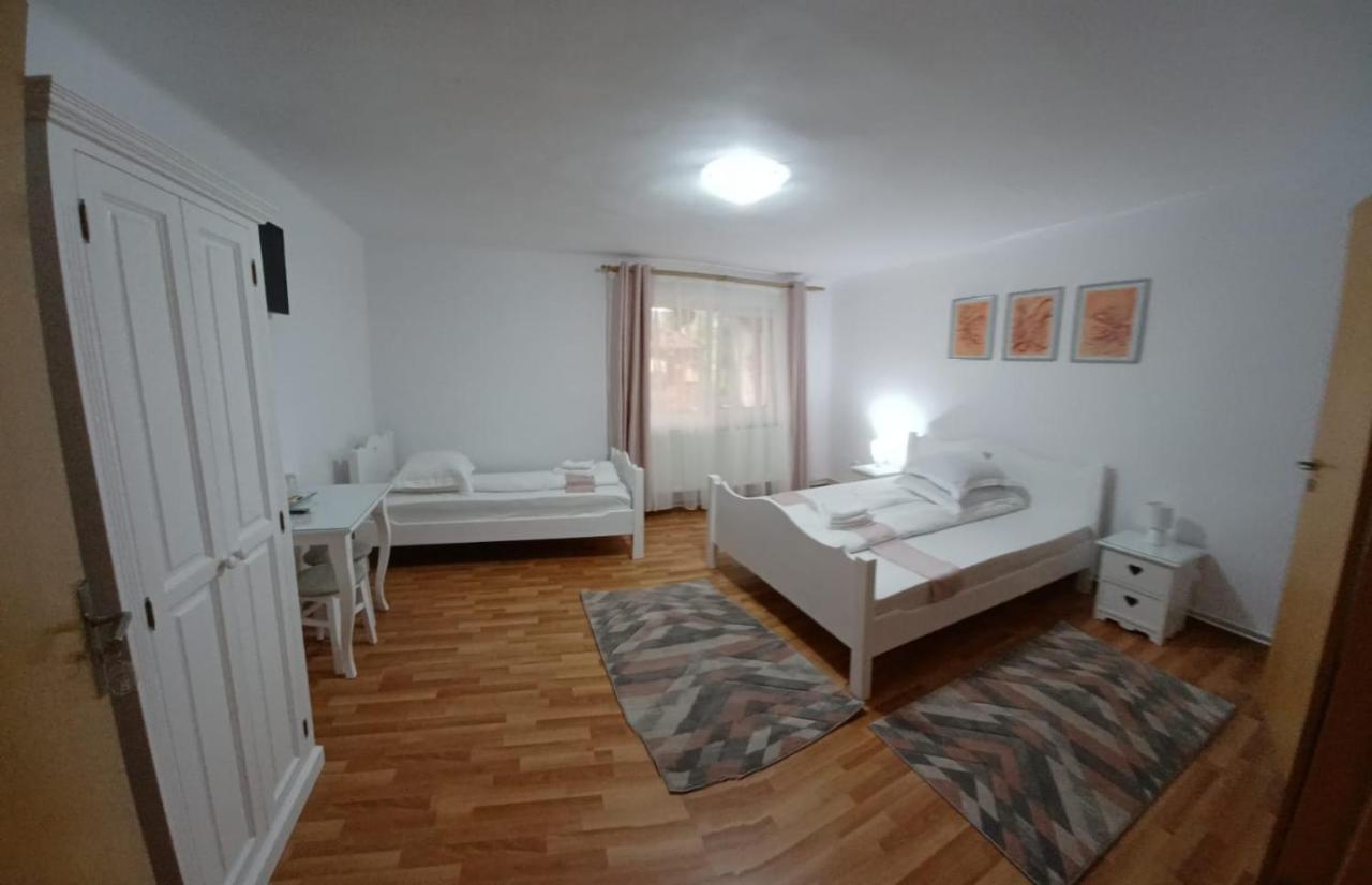 Pensiunea Ana Cristina Sighisoara Luaran gambar