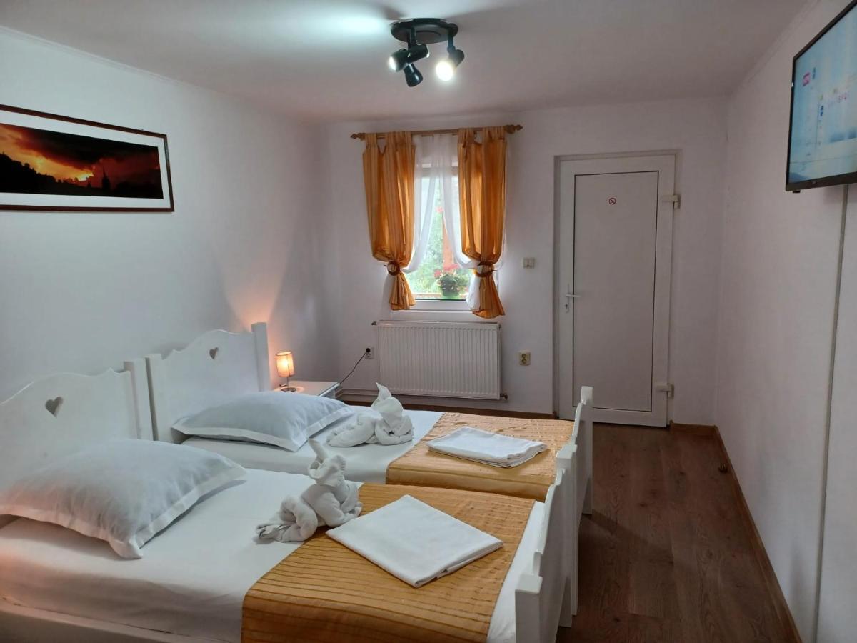 Pensiunea Ana Cristina Sighisoara Luaran gambar